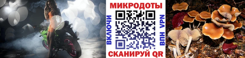 наркошоп  Себеж  МЕГА зеркало  Галлюциногенные грибы мухоморы 